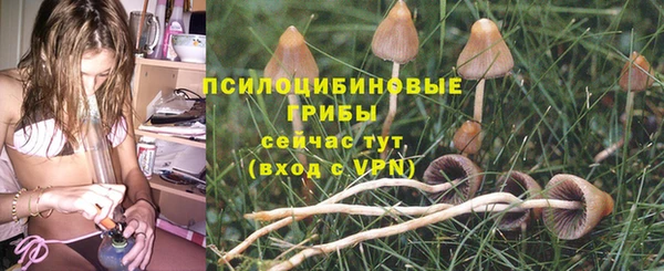jwh Алзамай