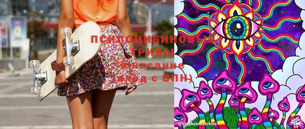 молекула духа Алексин