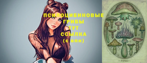 молекула духа Алексин