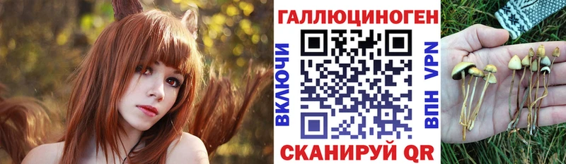 Галлюциногенные грибы Magic Shrooms  цена   omg зеркало  Лукоянов 